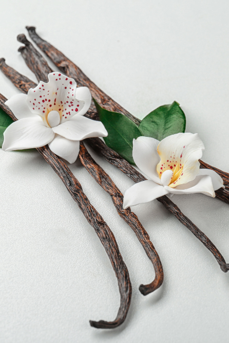 french vanilla fragrance oils for candle making
