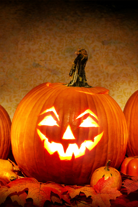 make candles with wooden wicks this fall