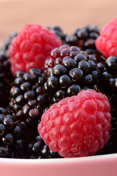 Blackberry Bloom Fragrance Oil