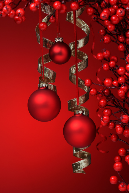 fragrance oils for Christmas candle making are available at candlehaven.ca