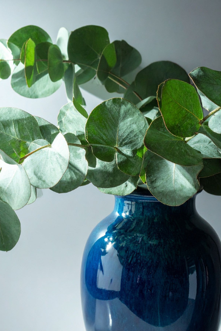 Eucalyptus Noir is a fragrance that imbues the epitome of candle making luxury