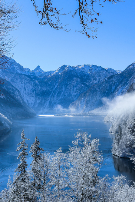 icy forest mist is a fragrance oil sold in a bottle for candle making