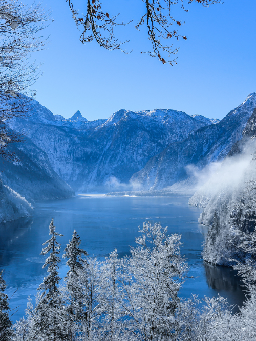 Winter candle fragrance canada | icy forest mist is a fragrance oil sold in a bottle for candle making