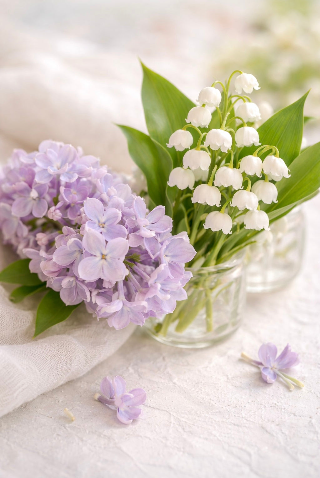 Lilac loves Lily Scent | Lilac and Lily on a soft white background