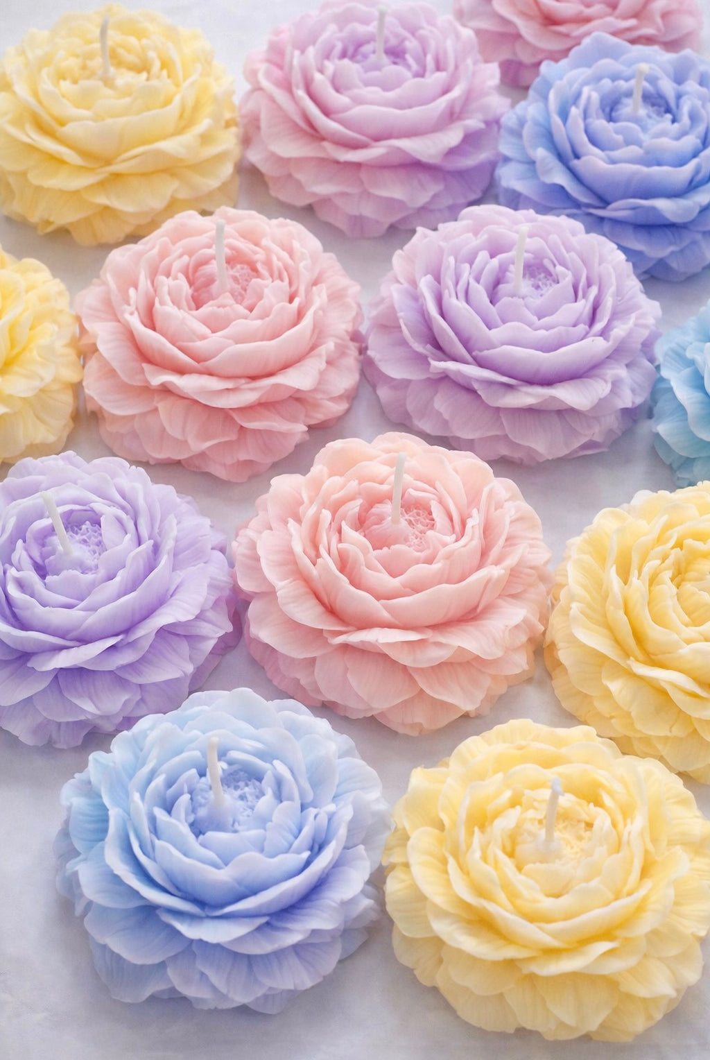 Peony shaped candles on a white background