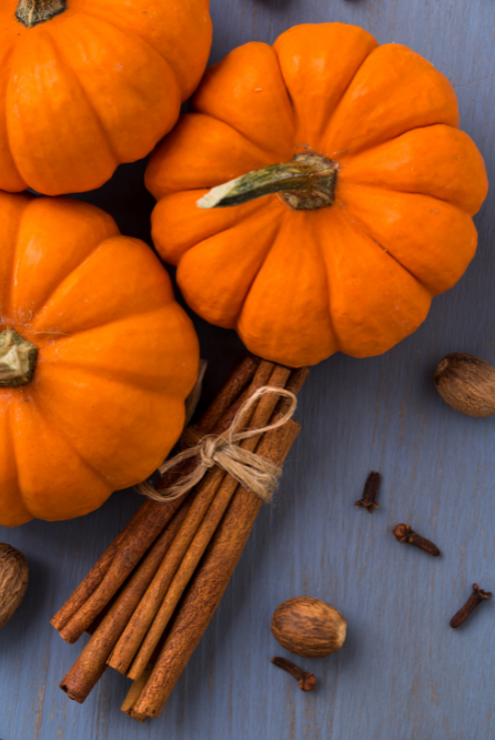 Three small pumpkins with cinnamon sticks and nuts on a blue surface depicting a pumpkin clove fragrance oil