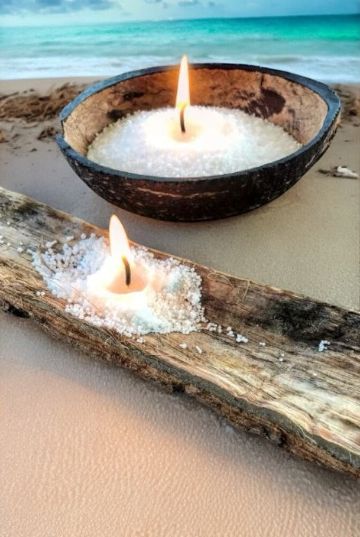 sand wax placed inside seashells with a beach backdrop