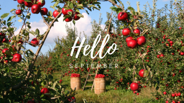 Ideas for candle making in September harvest season