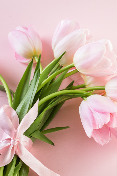 Spring Fragrance Oil Collection for candle making by Candlehaven.ca