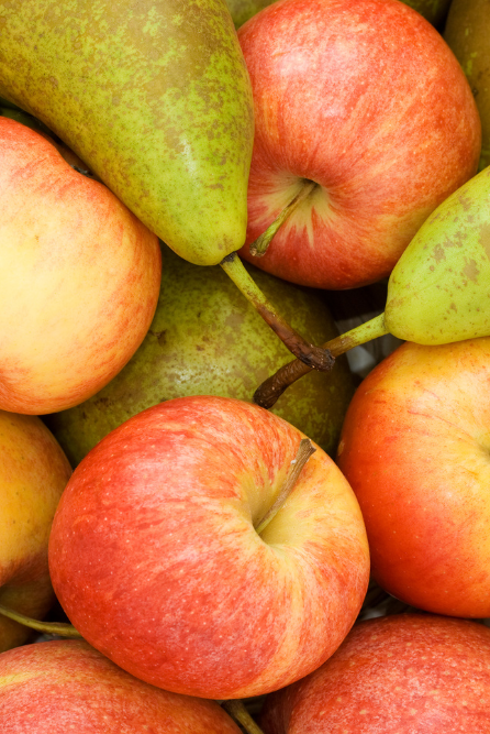 Apple Bottom Bliss