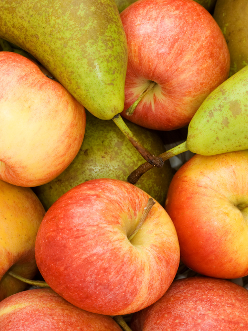 Apple Bottom Bliss