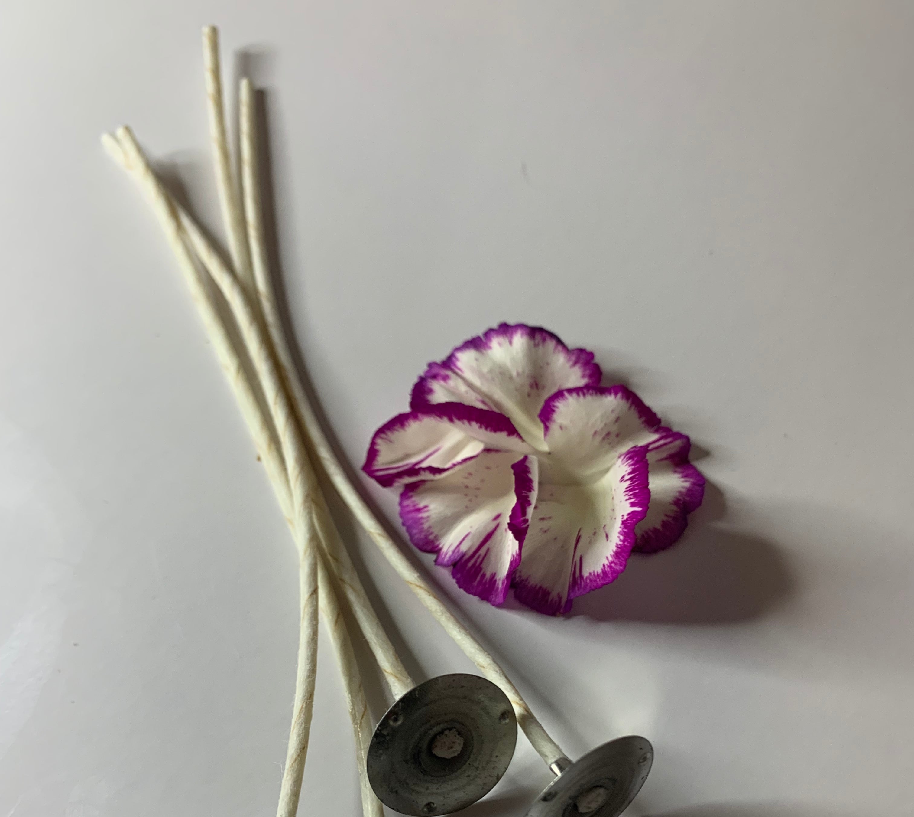 Canadian made Eco Wicks