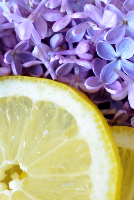 lilac lemondrop fragrance oil for candle making
