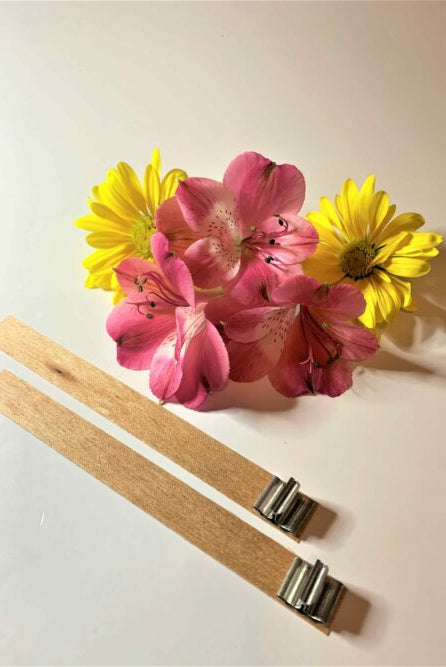 wooden wick canada | single ply wooden wick for candle making used with natural wax candlehaven.ca