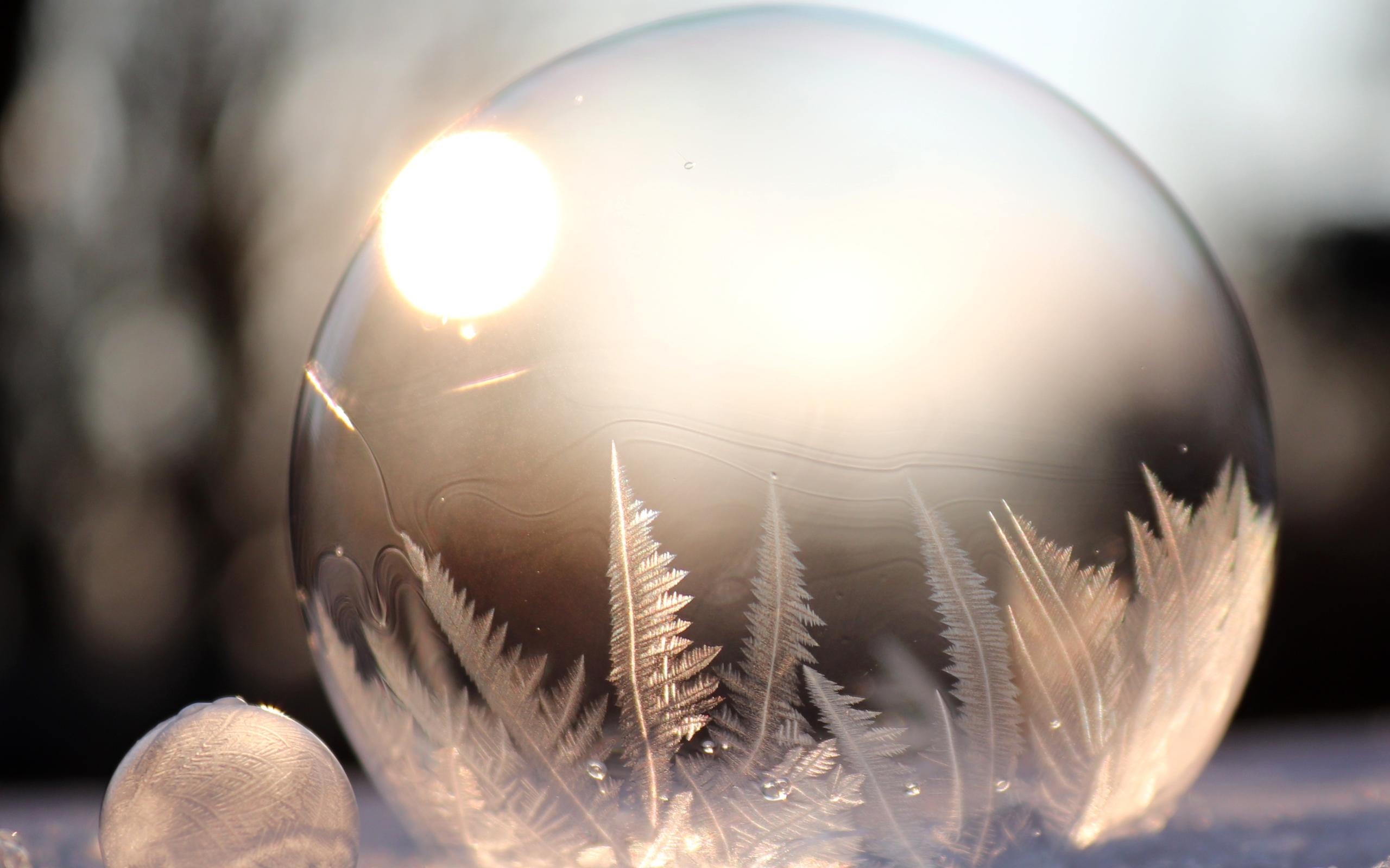 Winter Wonderland Selections