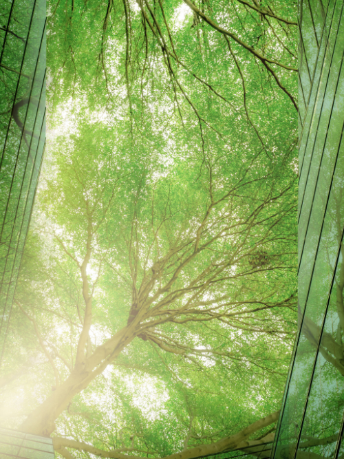 Eco-Friendly Candle Making Supplies