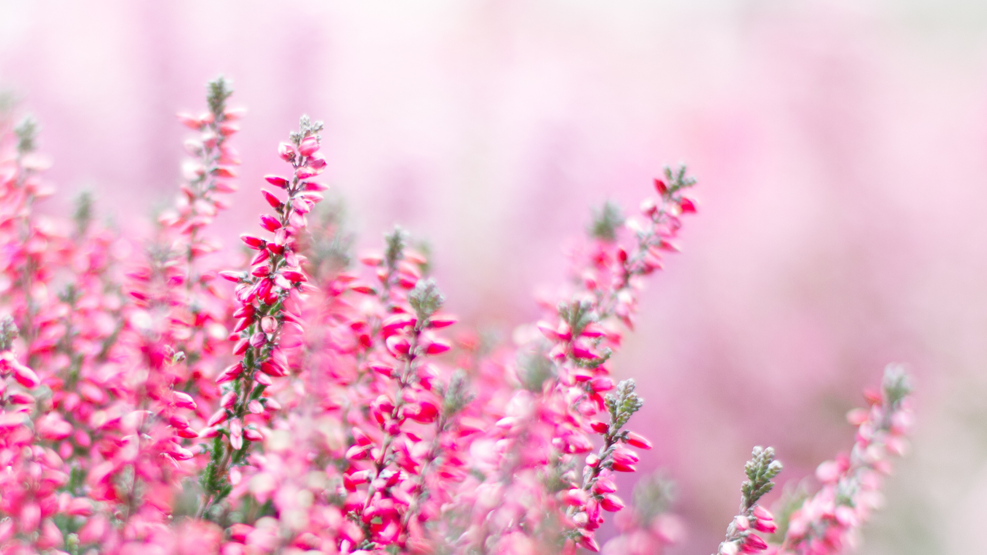 Candle Supplies June Blowout – Canada’s Best Deals for candle making supplies