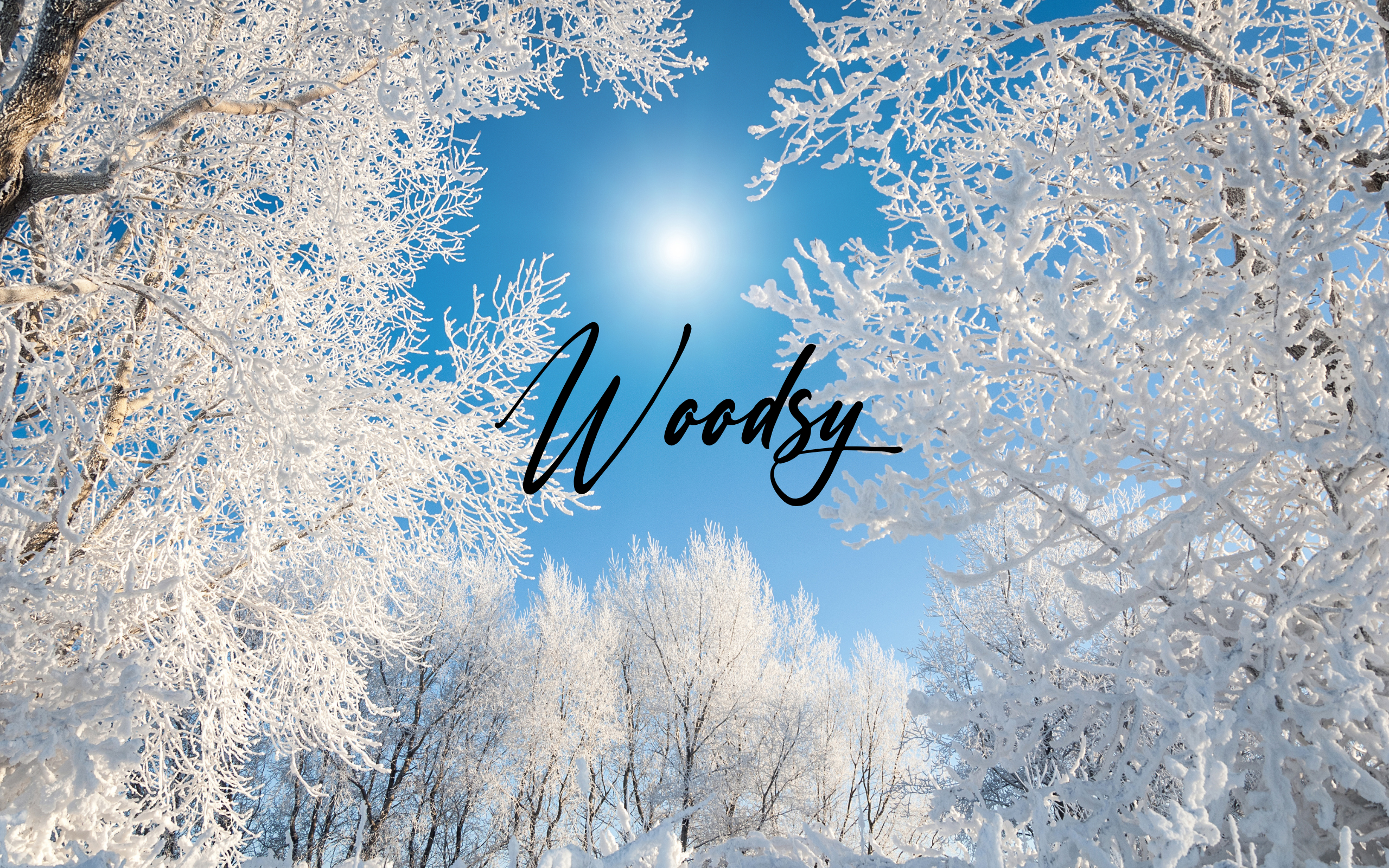 Woodsy Fragrance Oils Collection