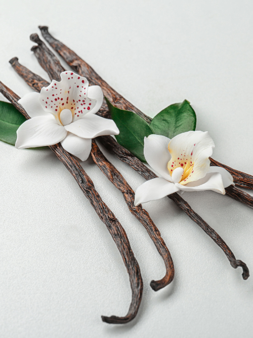 french vanilla fragrance oils for candle making