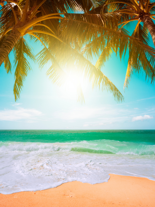 make soy candles with bulk candle making supplies from Candlehaven.ca