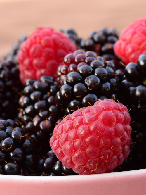 Blackberry Bloom Fragrance Oil