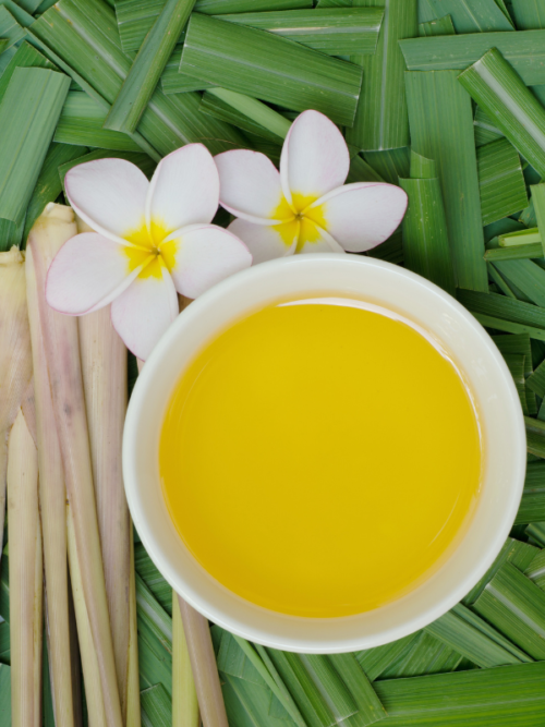 Citronella fragrance oil Canada | Citronella Fragrance Oil for Making Citronella Candles