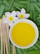 Citronella Fragrance Oil for Making Citronella Candles