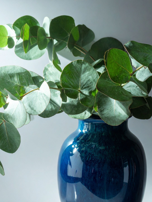 Eucalyptus Noir is a fragrance that imbues the epitome of candle making luxury