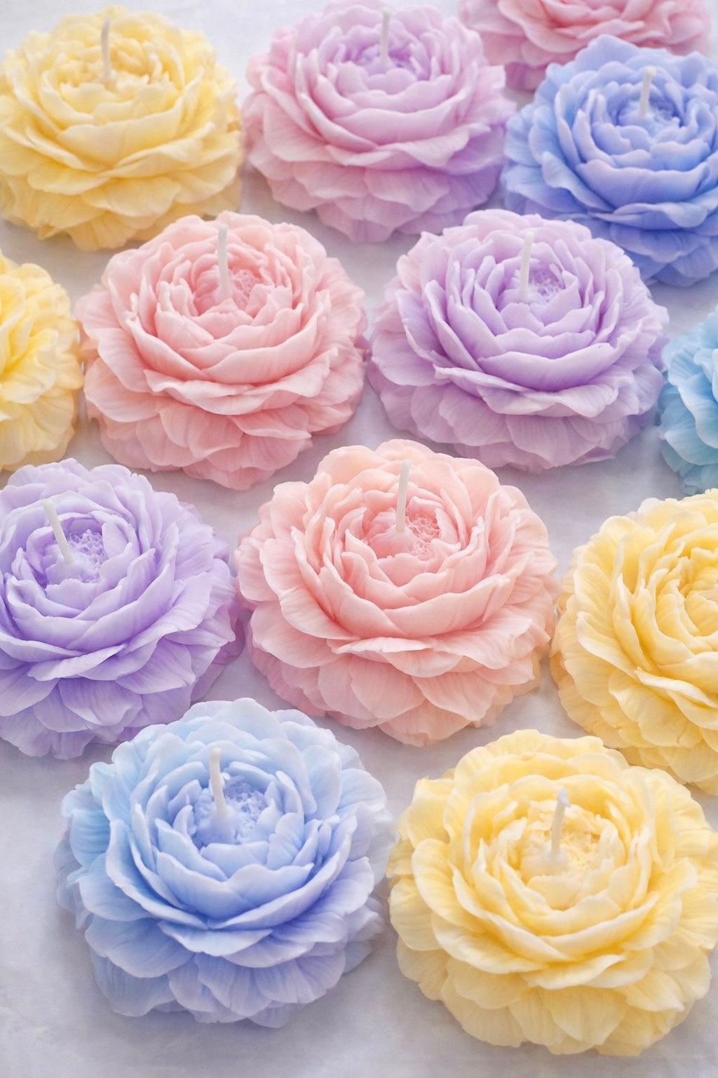 Peony shaped candles on a white background