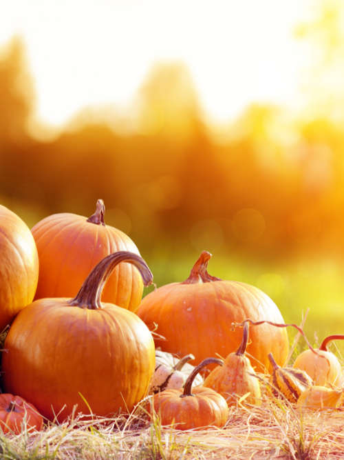 Pumpkin Peanut Brittle Crunch is the perfect fragrance oil for candle making this autumn