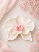 White orchid flower with pink center on a light pink background with small pink flowers.