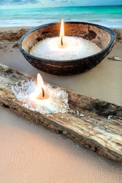 sand wax placed inside seashells with a beach backdrop