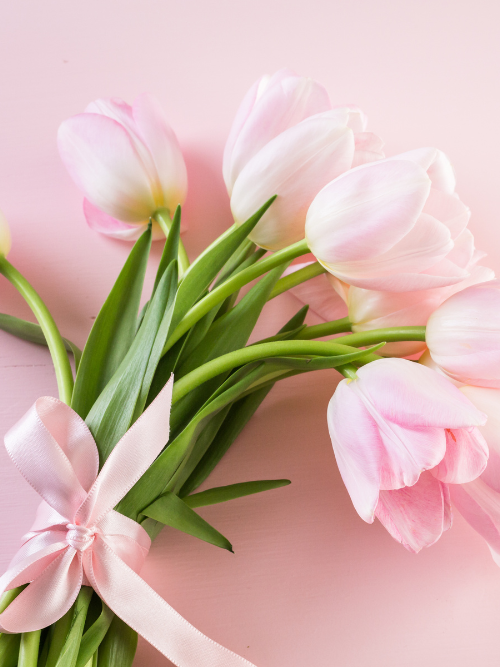 spring fragrance oils canada | Spring Fragrance Oil Collection for candle making by Candlehaven.ca