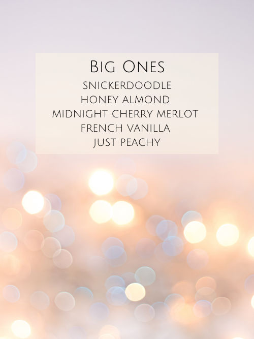 The BIG ONES Collection is the Most popular fragrance oils from Candlehaven.ca