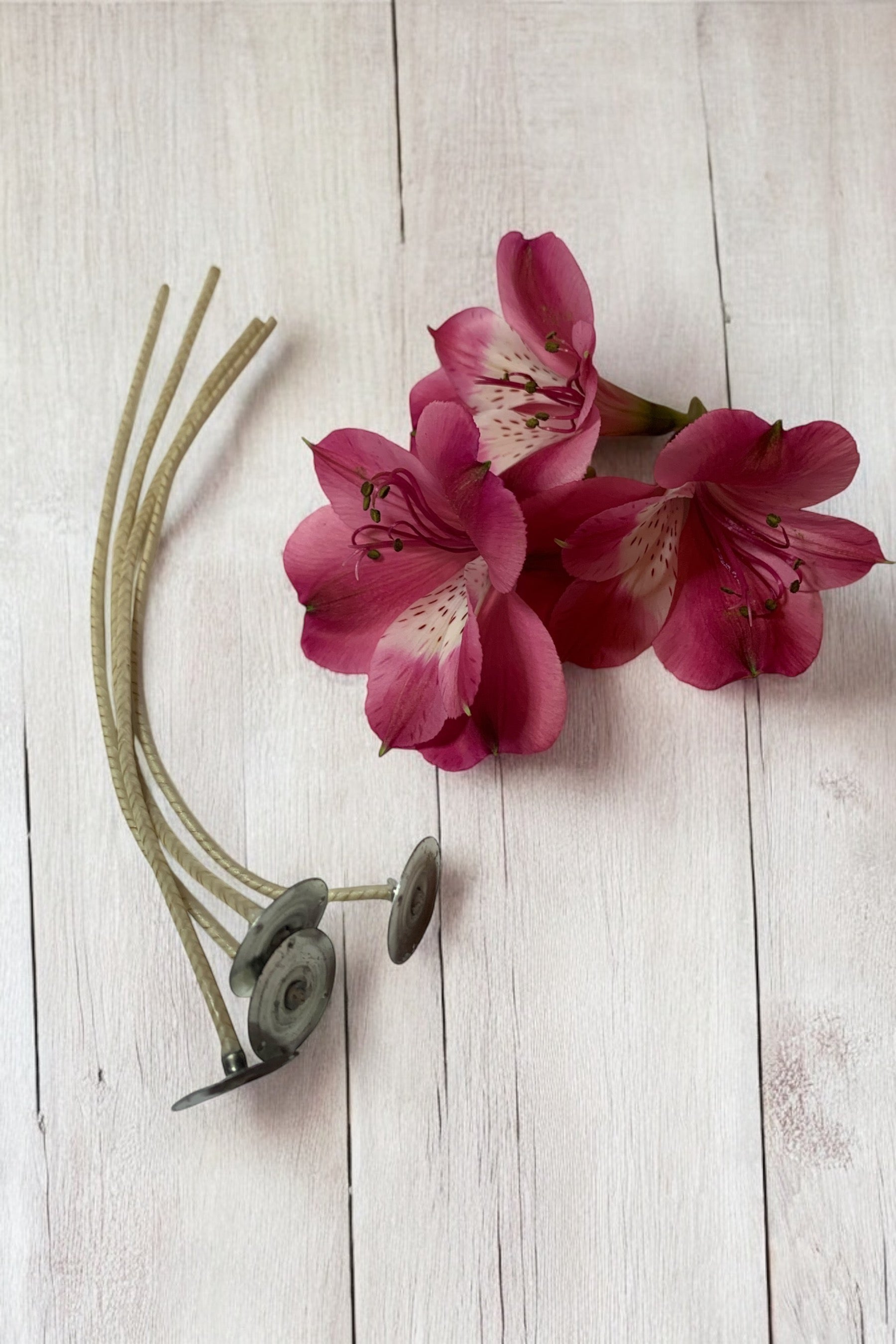 HTP wicks canada | candle wick canada