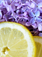 lilac lemondrop fragrance oil for candle making